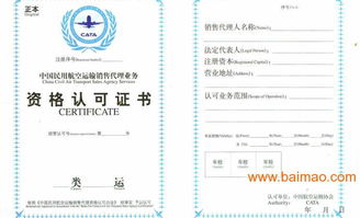 广州深圳IATA机票一级代理资质办理，为何专业机构选择广州米航？